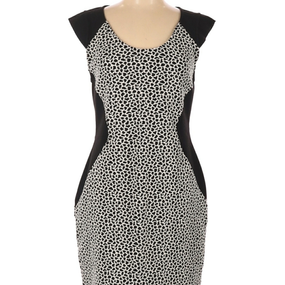 'Express' Animal Print Sleeveless Dress